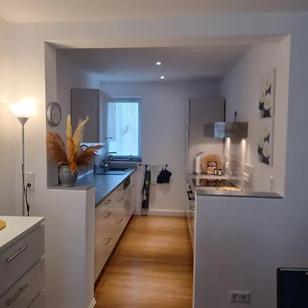 公寓 Luxus Janina 摩泽尔河畔的泽尔