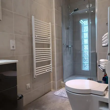 公寓 Luxus Janina 摩泽尔河畔的泽尔